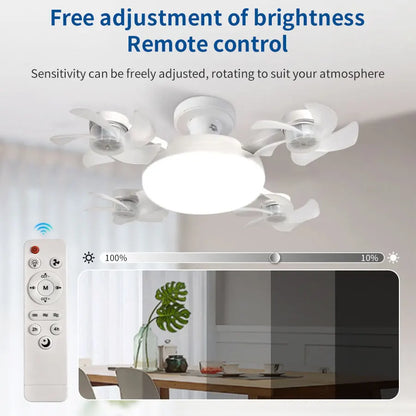 The No. 1 DRONE FAN (+LIGHT)