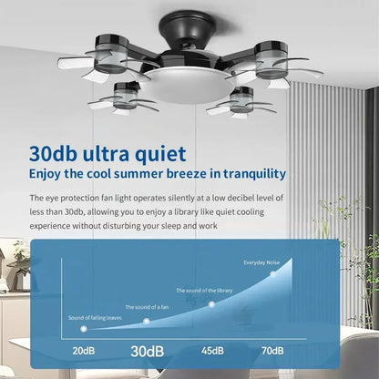The No. 1 DRONE FAN (+LIGHT)